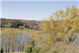 Overlook Tower at Pony Creek Park