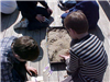 Children Digging for Dinosaurs