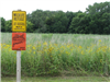 Ray Thomas Wildlife Preserve