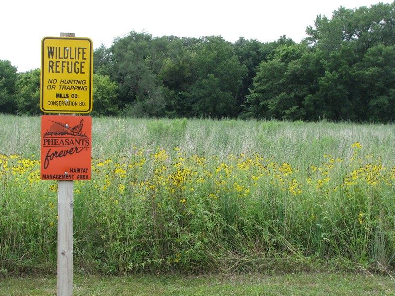 Ray Thomas Wildlife Preserve