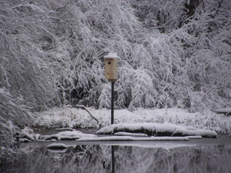 Snow Covered Birdhouse on a Lake