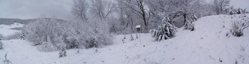 Blue Bird House in Snow