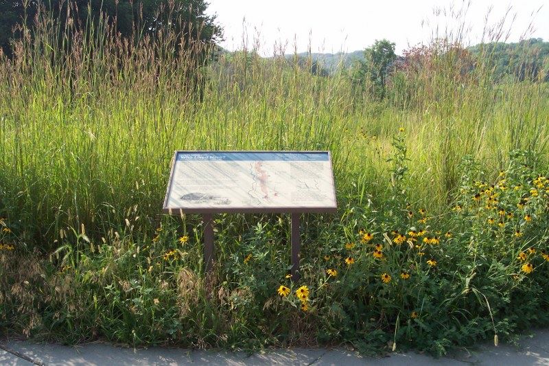 Mile Hill Lake Interpretive Panel