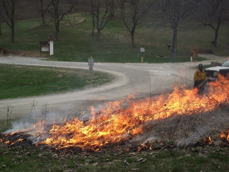 Brush Fire at the Side of the Road